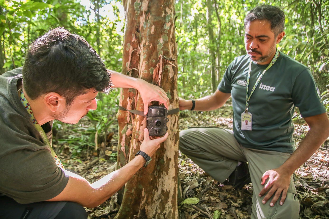 O Governo do Estado entregou, nesta segunda-feira (19/05), 480 câmeras que servirão para monitorar a fauna fluminense em unidades de conservação estaduais e municipais. Além dos registros visuais que otimizam as políticas de conservação, o material contribuirá para a atualização da Lista da Fauna Ameaçada do Estado do Rio de Janeiro, resultando na publicação de um livro.