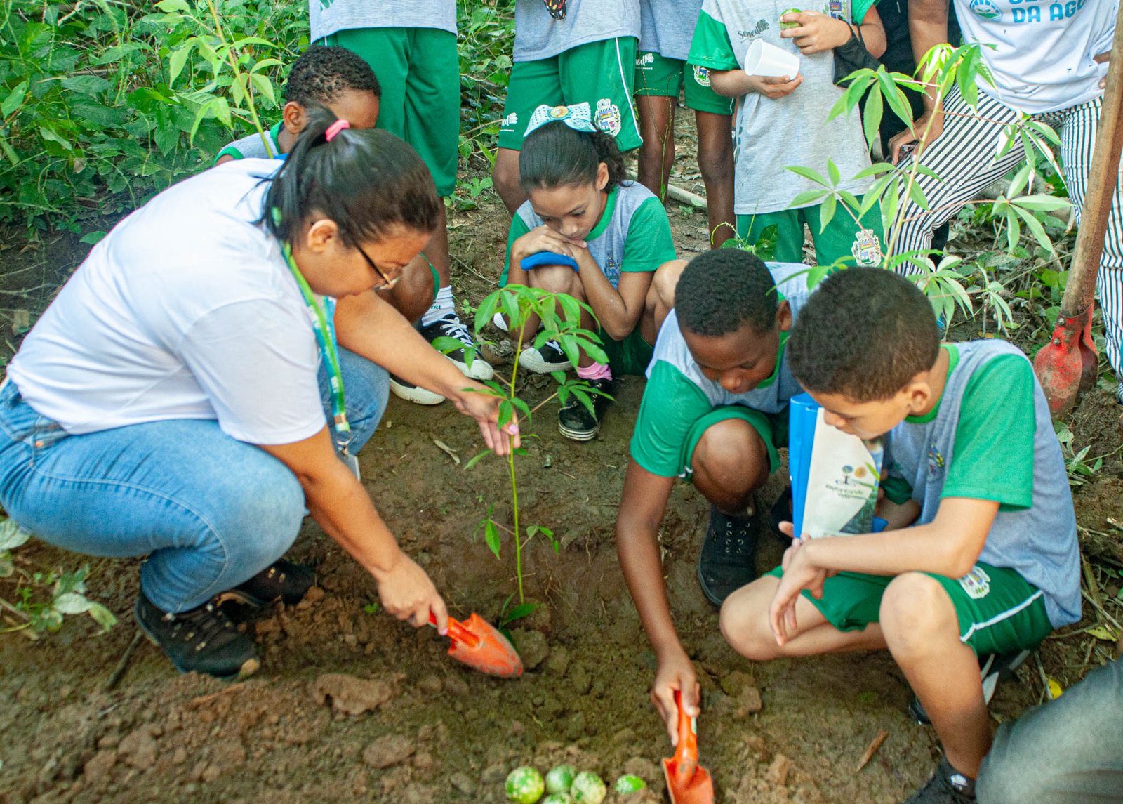 A cidade de Japeri será sede, nesta quinta-feira (15), de uma oficina regional de Planejamento Plurianual de Educação Ambiental. O evento reunirá representantes de nove municípios da Baixada e Sul Fluminense, no Núcleo de Educação Ambiental Vale do Ipê, das 9h às 16h30.